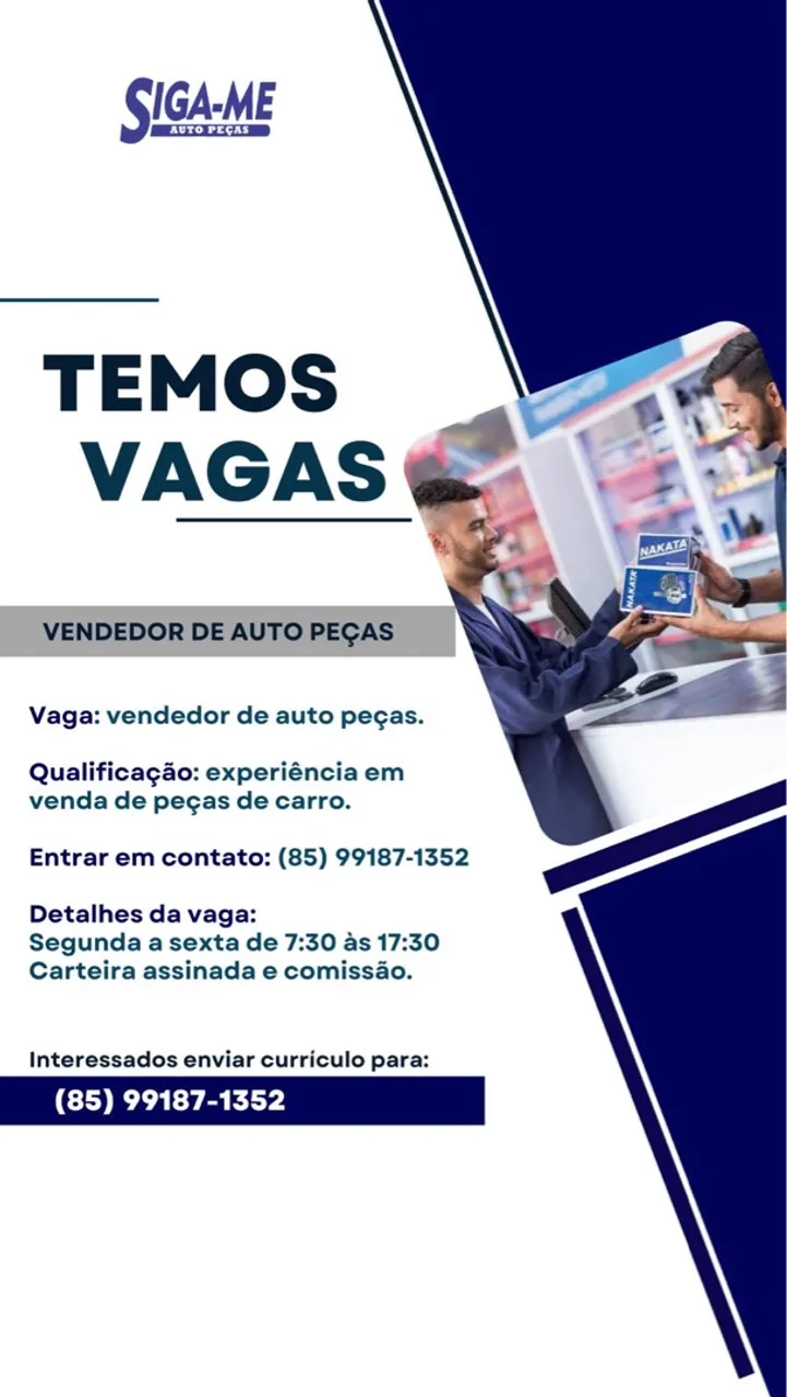 Vendedor auto peças 