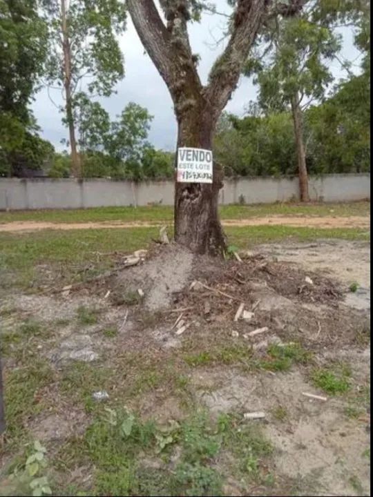 Terreno à venda - Oportunidade! - Foto 3