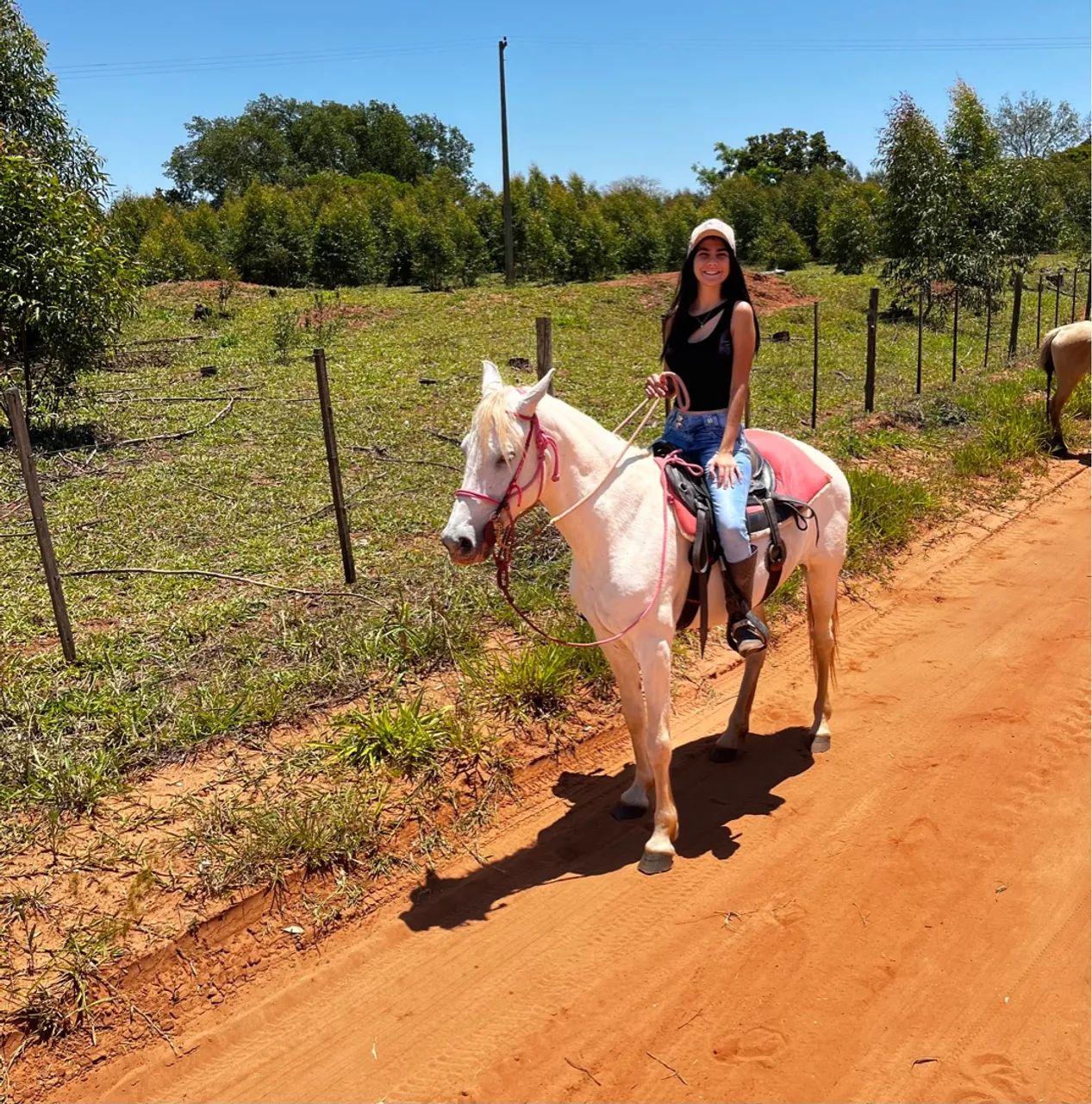 Égua mangalarga branca  - Foto 2