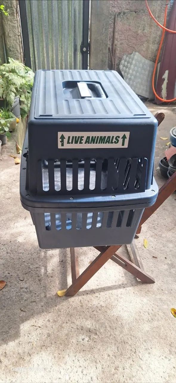 Caixa de transporte para animais