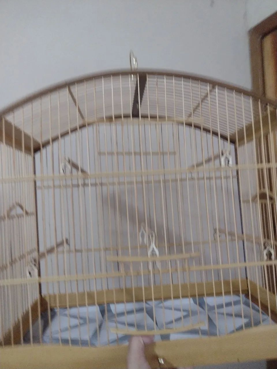 Gaiola parafusada de marfim serve para bicudo, curió, canário e outros - Foto 6