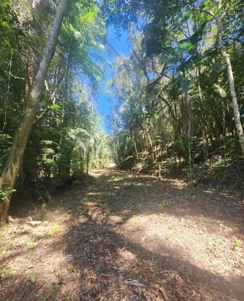 Terreno de 18.000 m² à venda em Juquitiba - Loteamento Belvedere