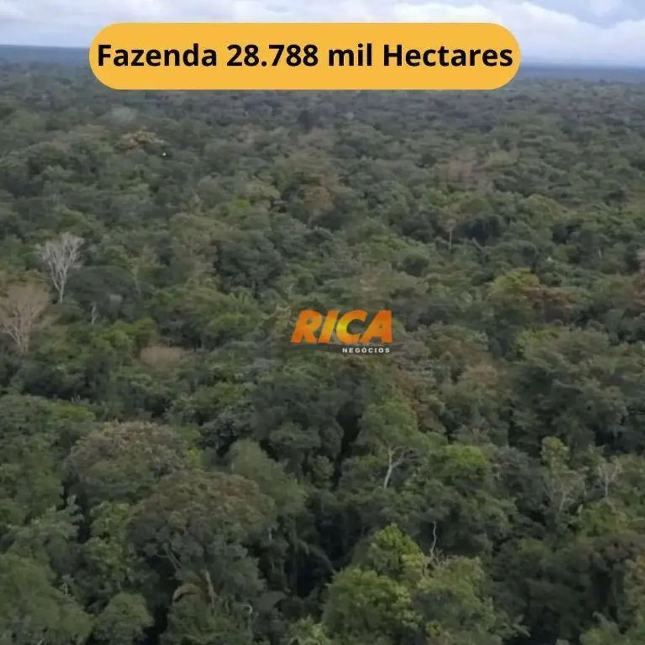 Excelente Fazenda à Venda em Santa Rosa de Purus/AC, com área total de 28.788 hectares!