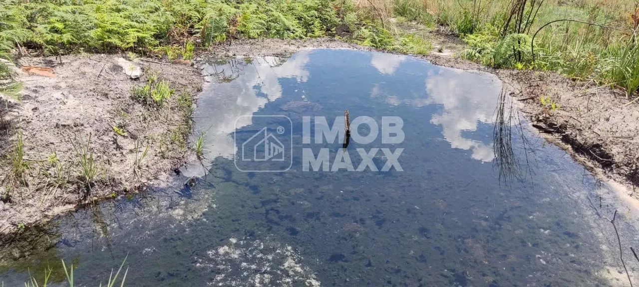 Chácara a venda NR Euller Paranhos - terra nua - 28000 m² - com nascente - Escriturada e R - Foto 6