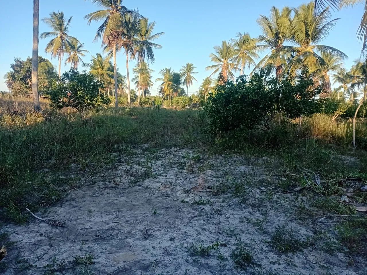 Sítio em Acajutiba interior da Bahia - Foto 4