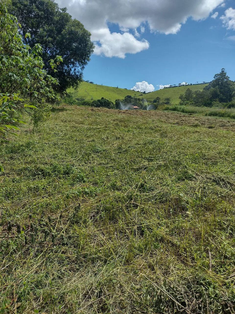 Terreno rural beira rio - Foto 5