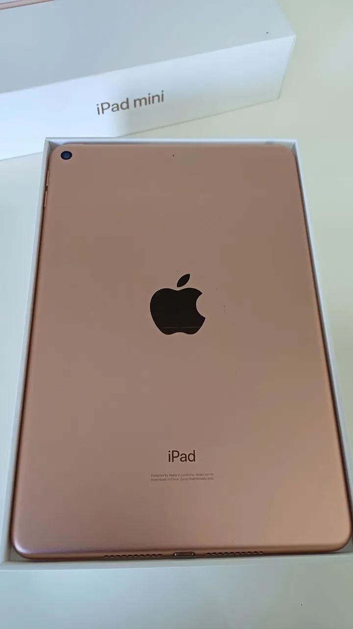 Ipad mini 5 geração GOLD - 64GB - Wi-Fi - com caixa e carregador