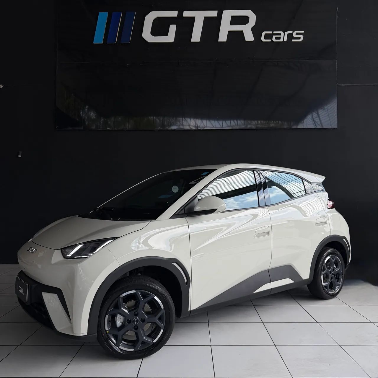 BYD Dolphin Mini (Elétrico) 2027
