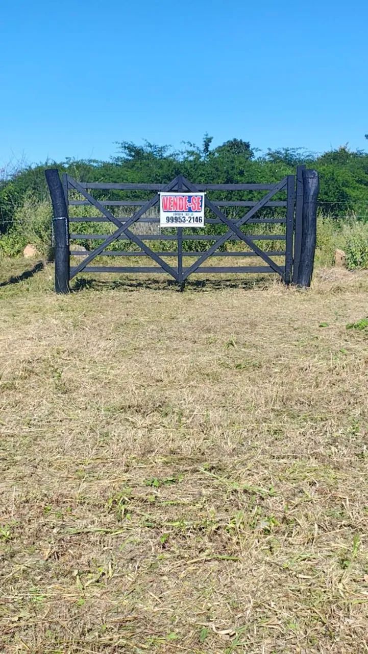 Propriedade beira de pista na BR 230 - Foto 3