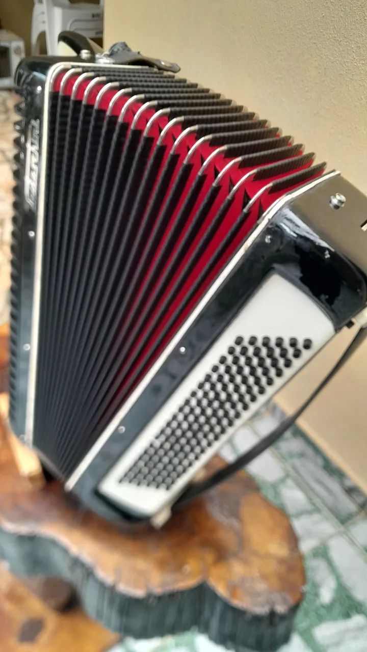 Acordeon todeschini 120 baixo  - Foto 4