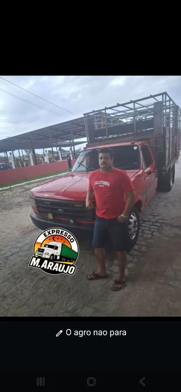 Frete caminhão boiadeiro melhor preço da região  - Foto 2