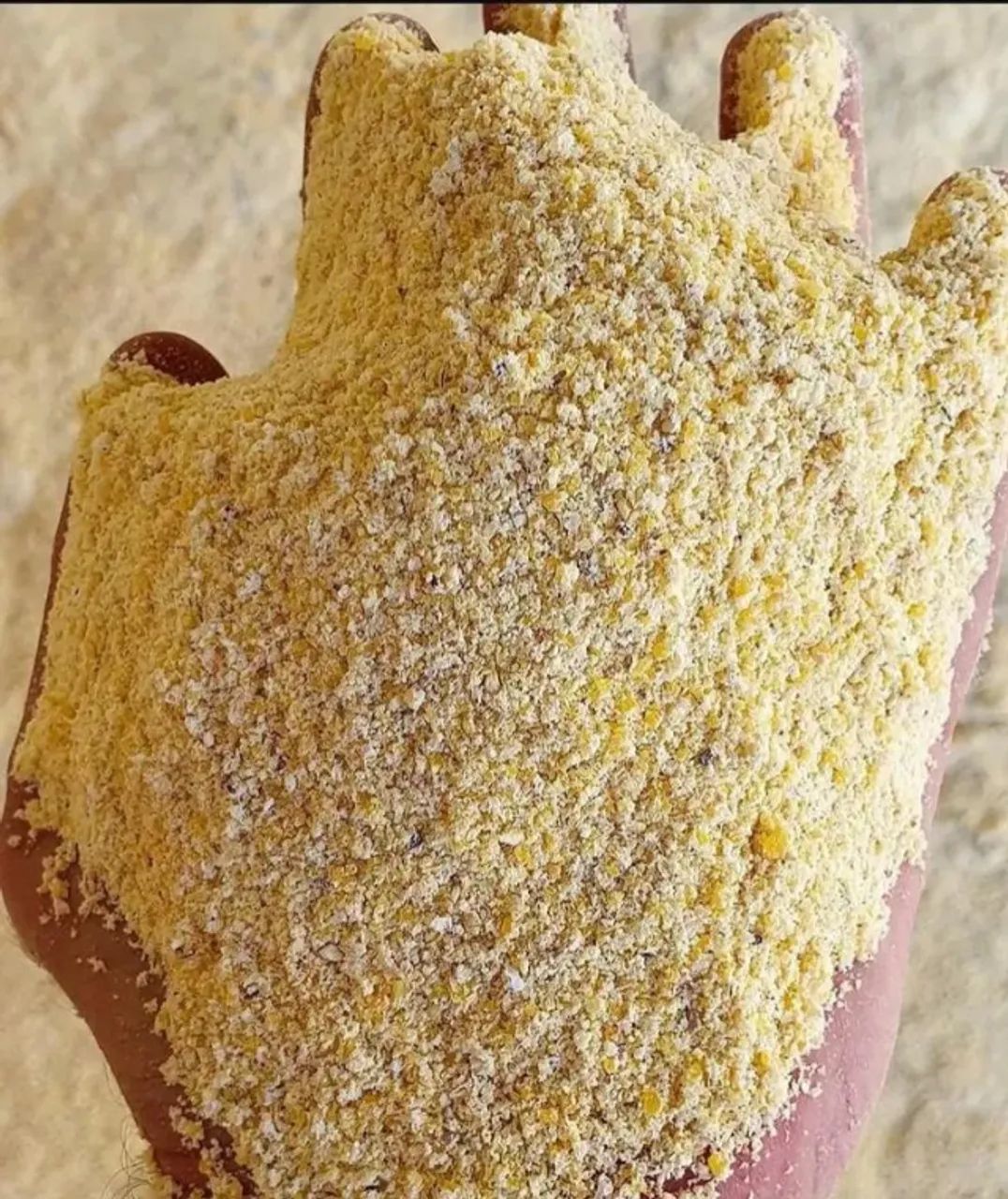 Milho Padrão em sacas de 50 kg e 60 kg direto da Fazenda sem atravessadores - Foto 2