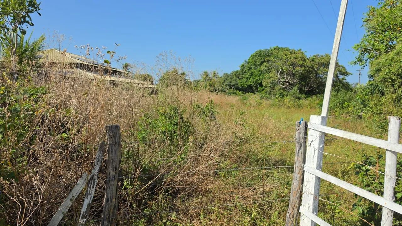 Terreno Grande no Jenipapeiro - Foto 4