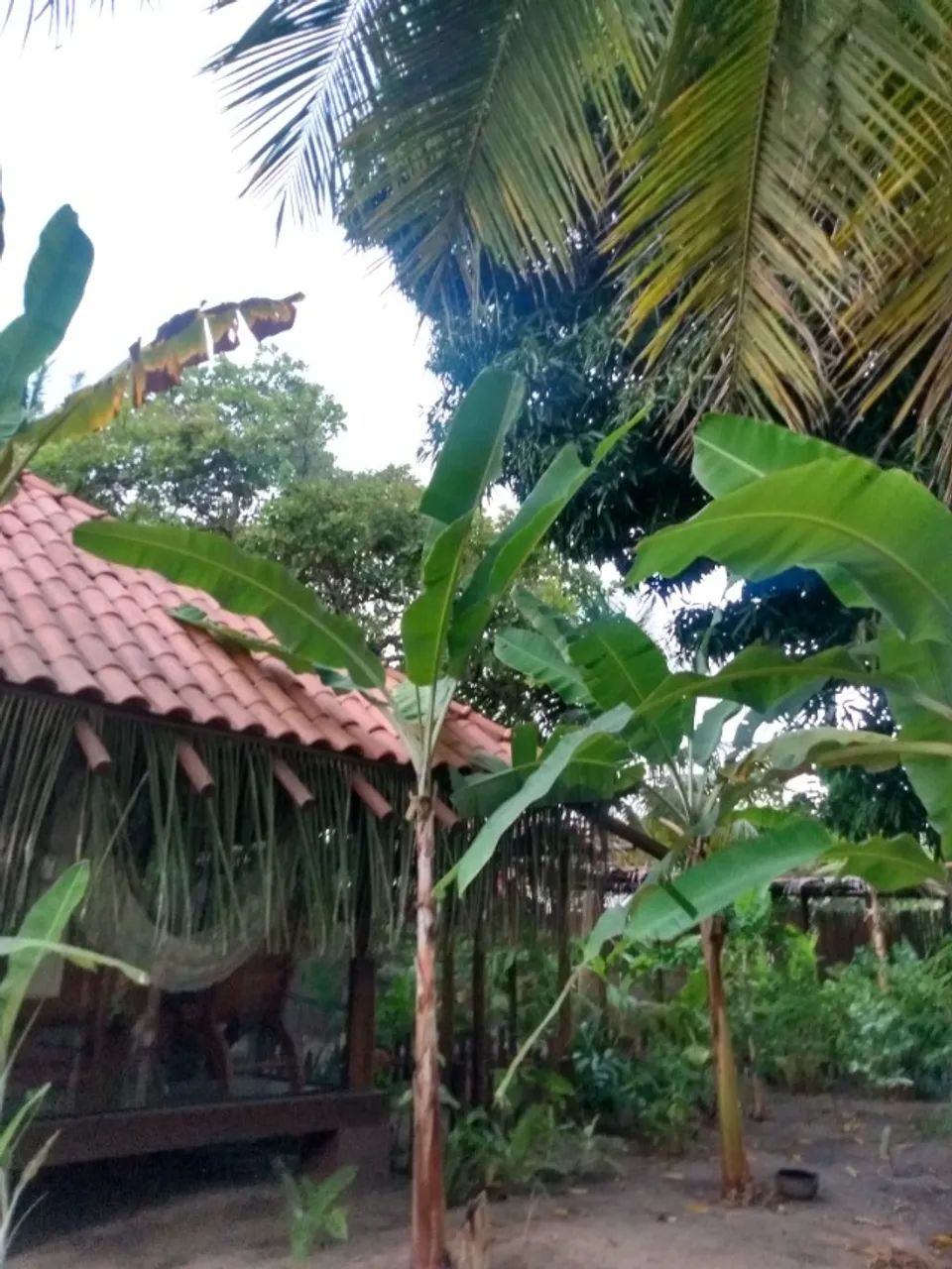 DONO VENDE Bangalô de Madeira  - Foto 3