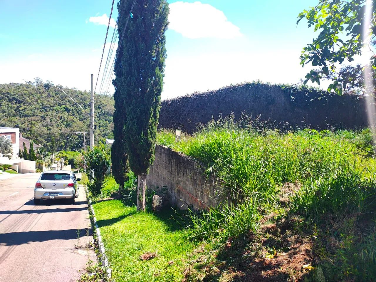 Lote / Terreno - Grama - Foto 4