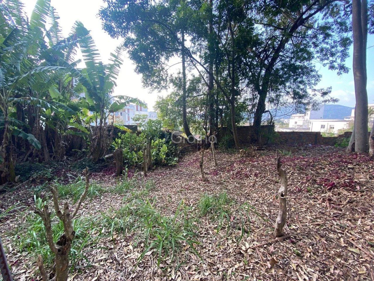 Terreno de 1.500m² no Pantanal - Foto 3