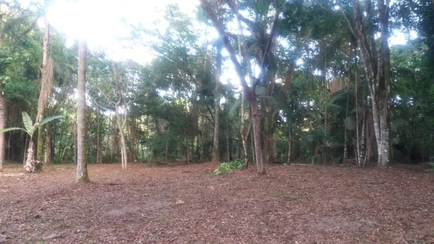 Linda chácara no Distrito de Alexandra - Foto 4