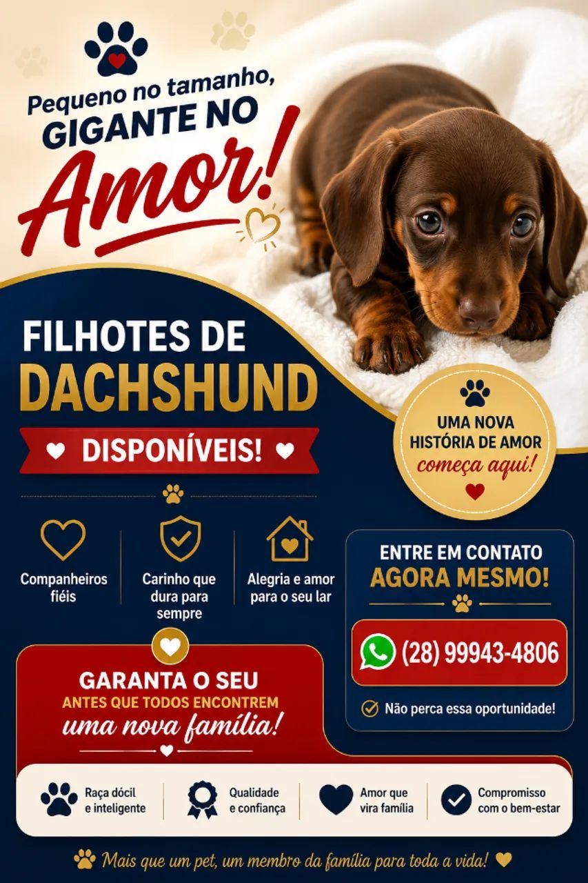Cachorro