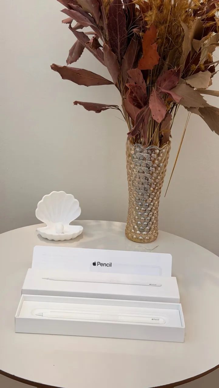 Apple Pencil 2º geração NOVA - Foto 5