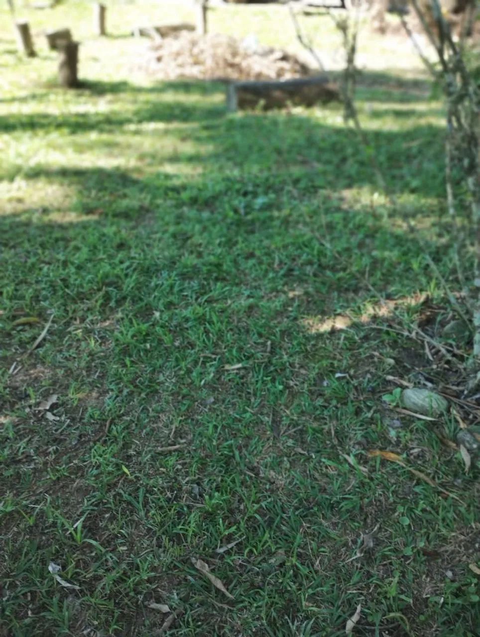 Foto - Cachoeiras de Macacu - 