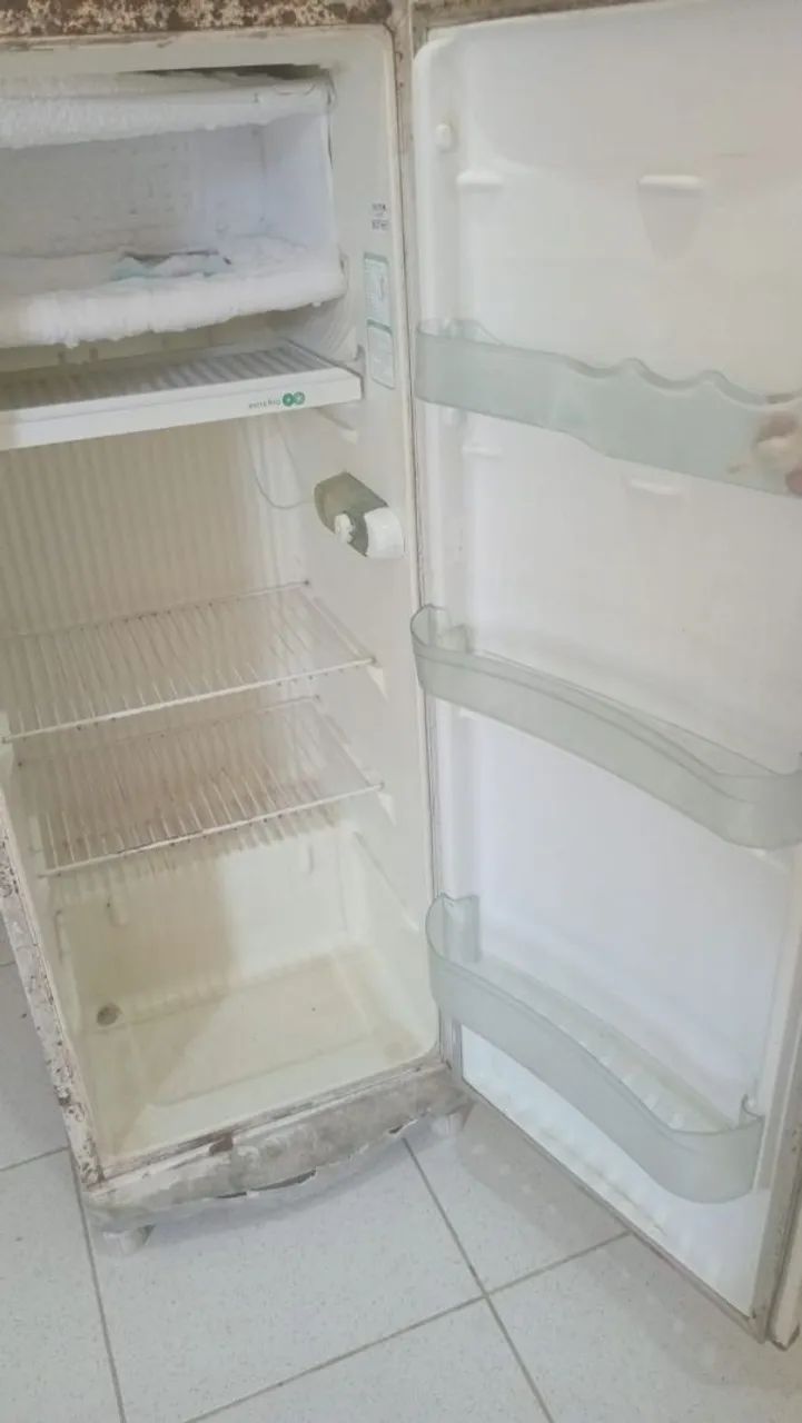Geladeira degelo seco