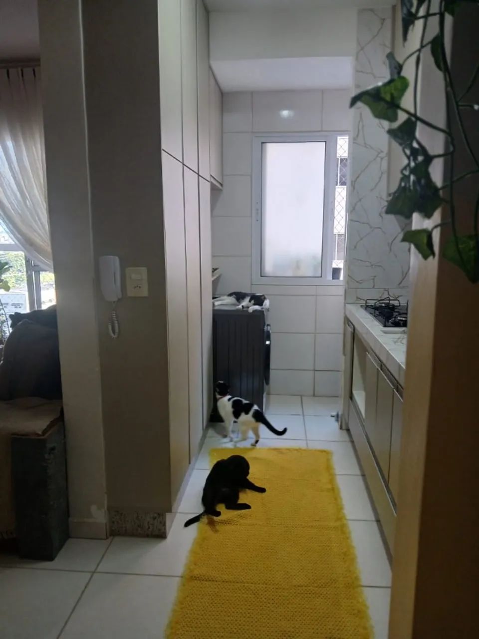 Apartamento - Luizote de Freitas - Foto 5