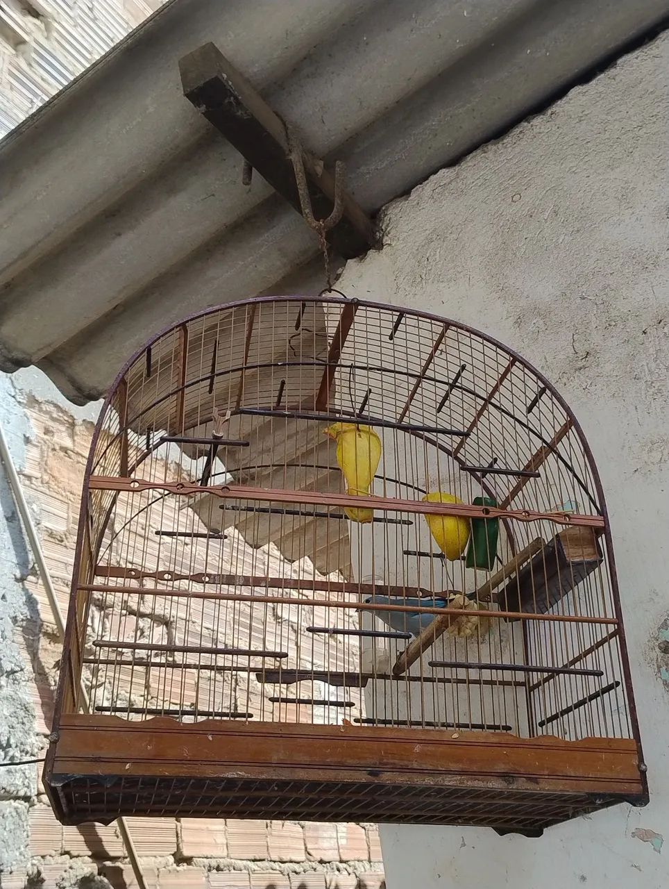 Vendo essas duas gaiolas boas 