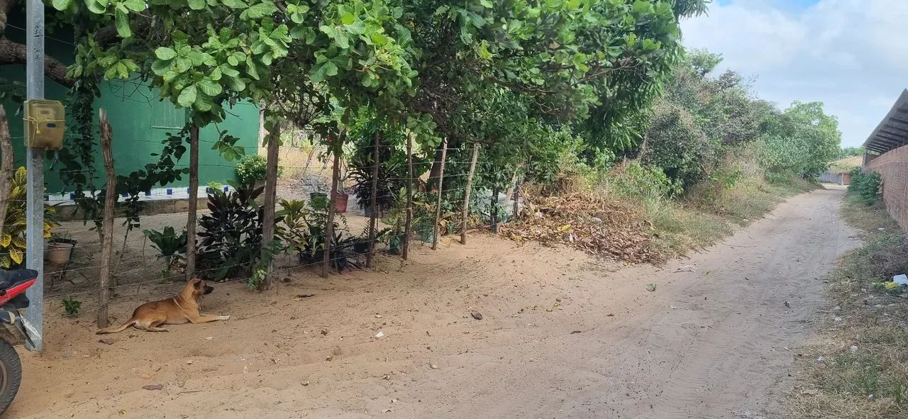 Vendo esse terreno com uma casa simples em Barreirinhas-Ma - Foto 2
