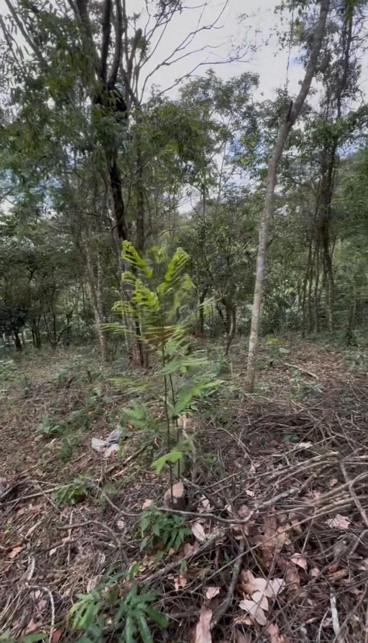 Terreno em Guaramiranga - Foto 2