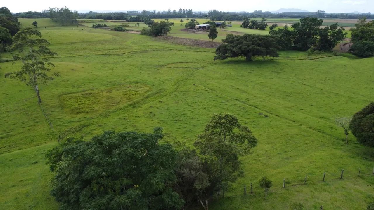 Sítio para venda  - Foto 2