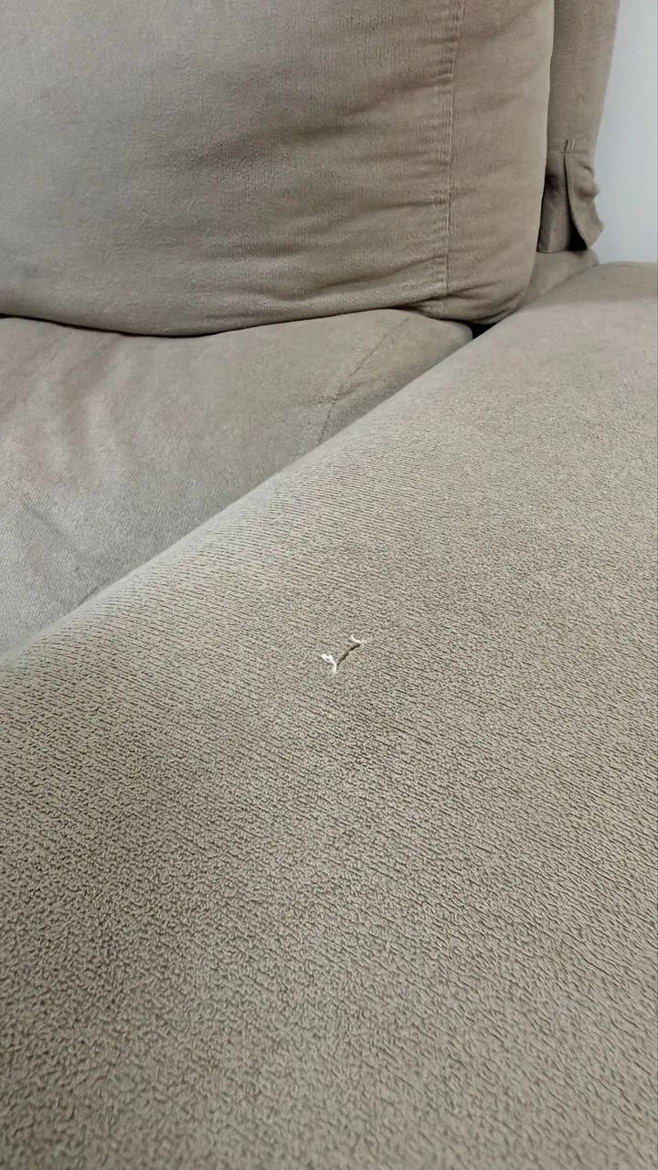 Sofa bed65049010499329125
