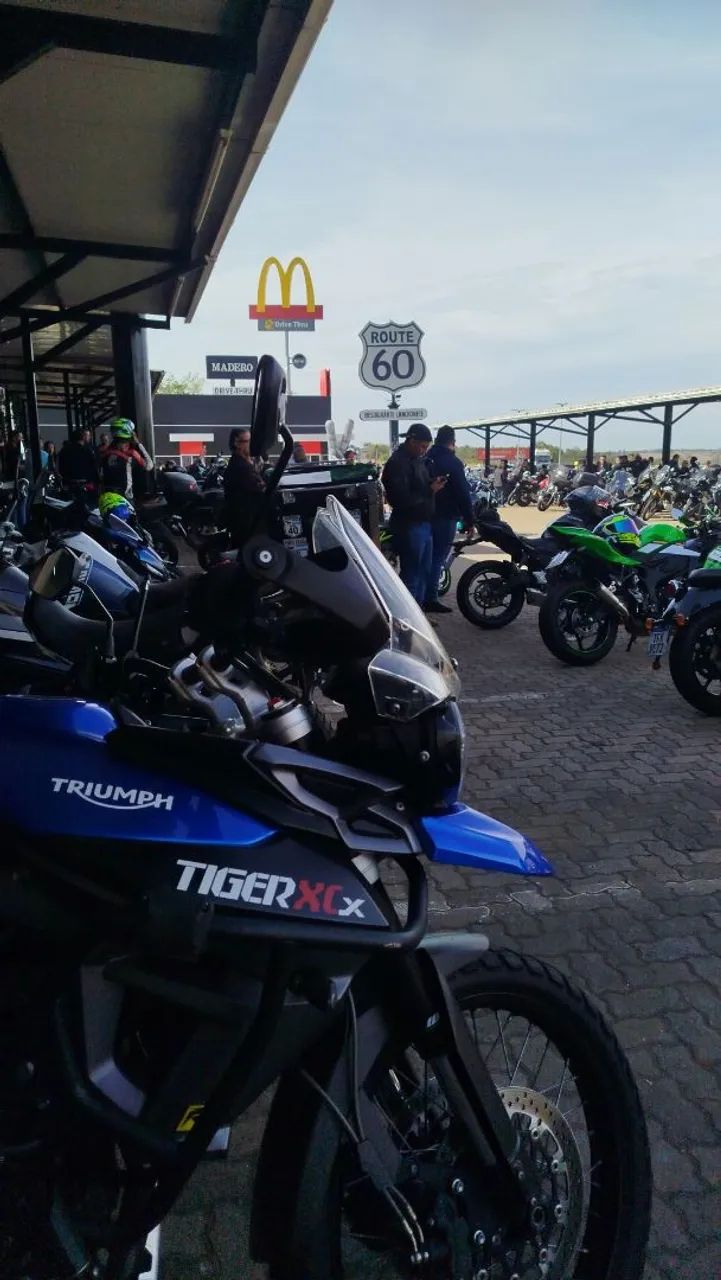 Tiger 800 XCX 