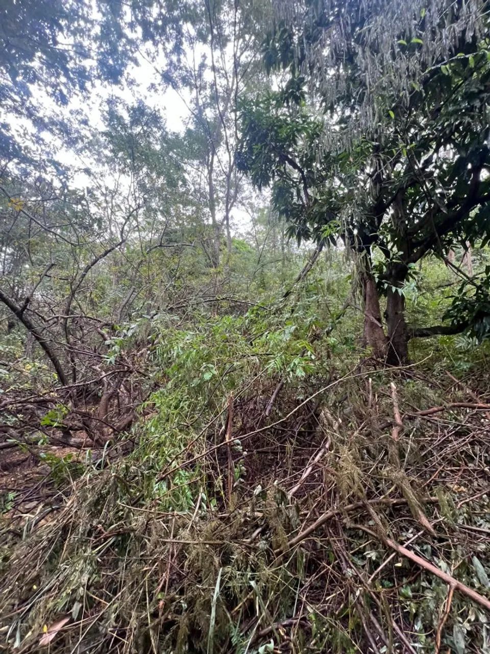 Terreno para chácara com 3000 m² - Foto 2