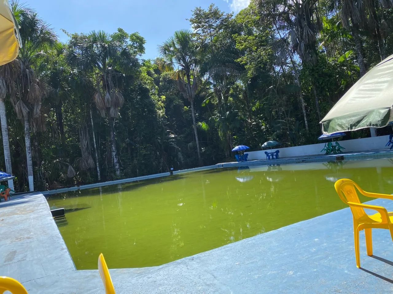 FAZENDA - Foto 2