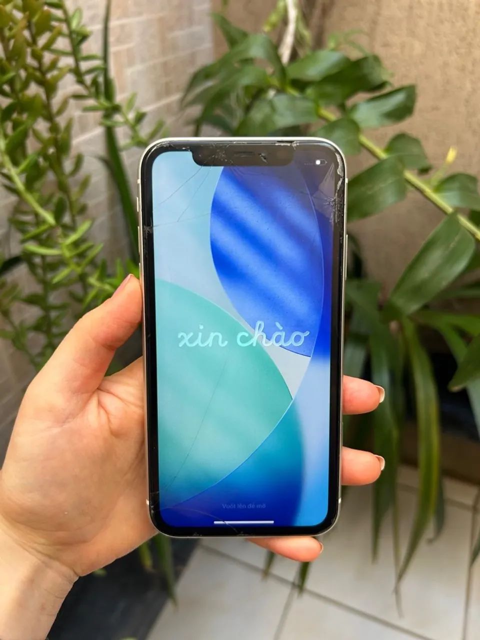 iPhone 11