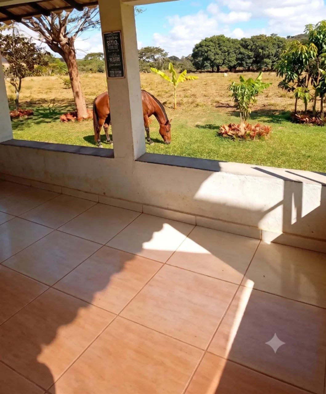 Fazenda / Sítios / Chácaras com 4 quartos à venda em Esmeraldas - Foto 3