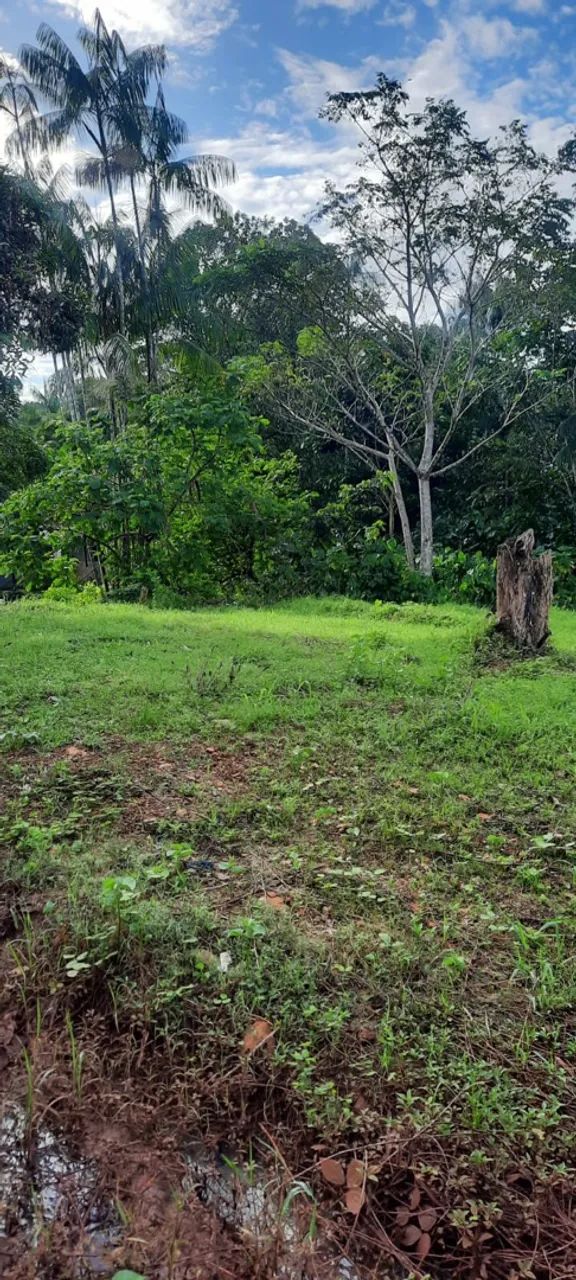Terreno no Centro do Tauá  - Foto 2