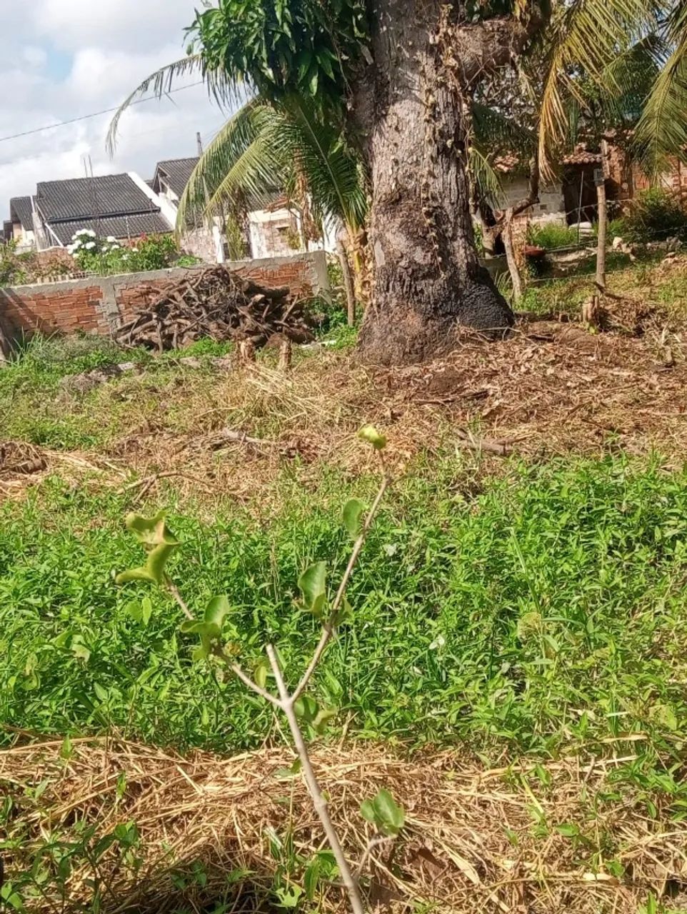 Terreno a venda 