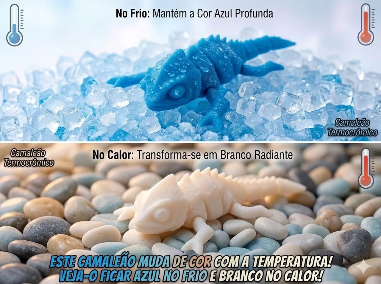 Camaleo troca de cor - Foto 3