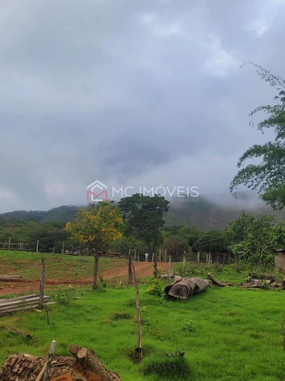 Fazenda com 5 quartos - Padre Bernardo - Foto 4