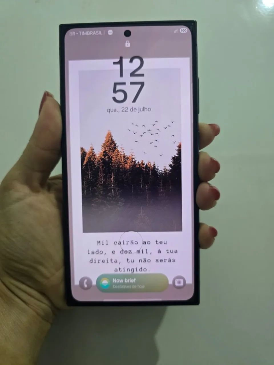 Celular - Foto 4