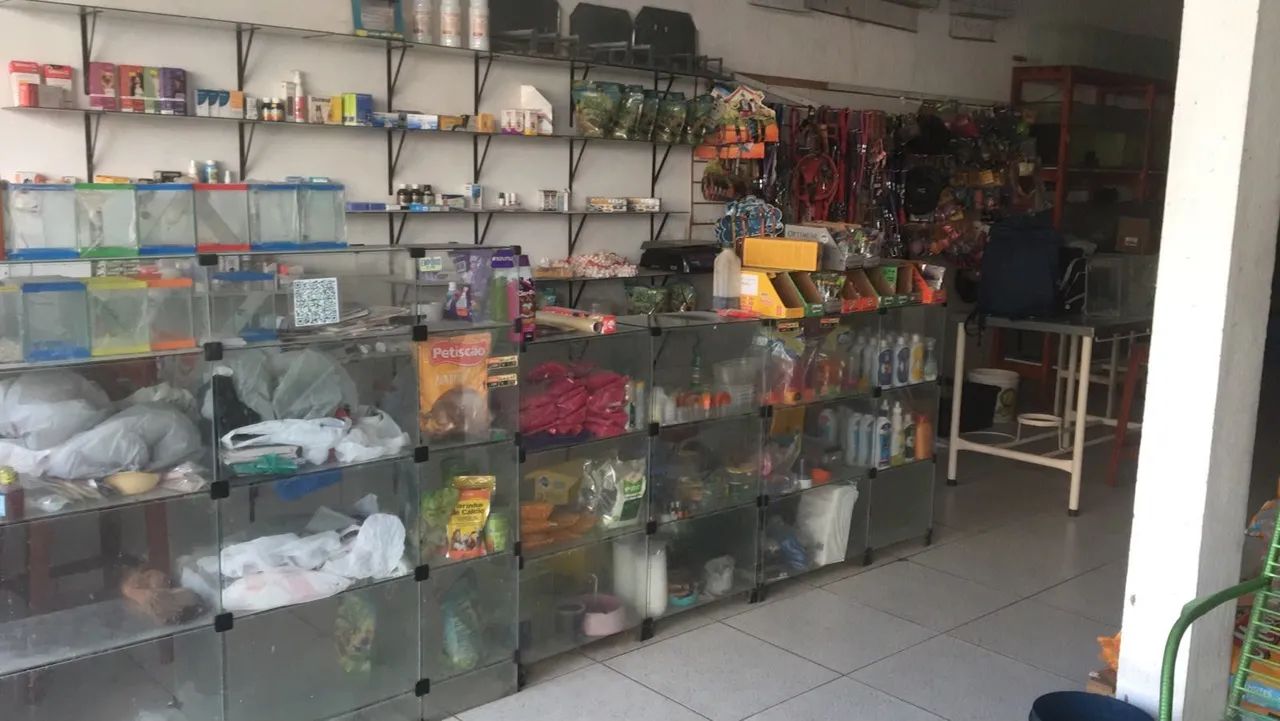 Vendo uma loja de ração. - Foto 3