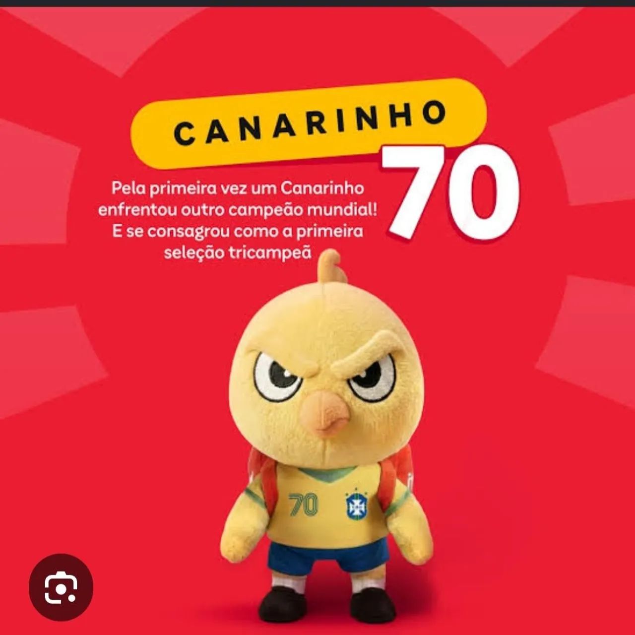 Coleção Canarinhos Pistola  - Foto 4