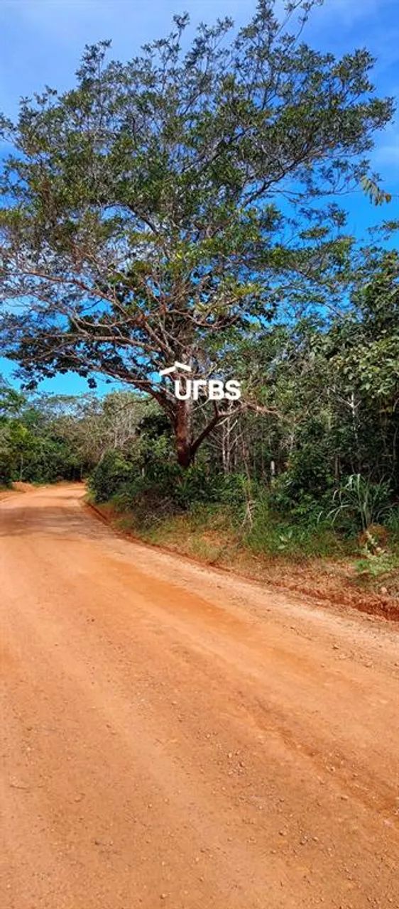 Terreno Rural em Pirenópolis - Foto 4