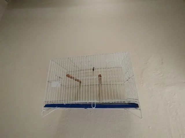 Gaiolas  - Foto 3