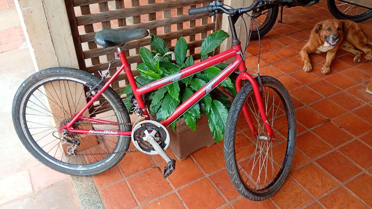 Bicicleta  - Foto 4