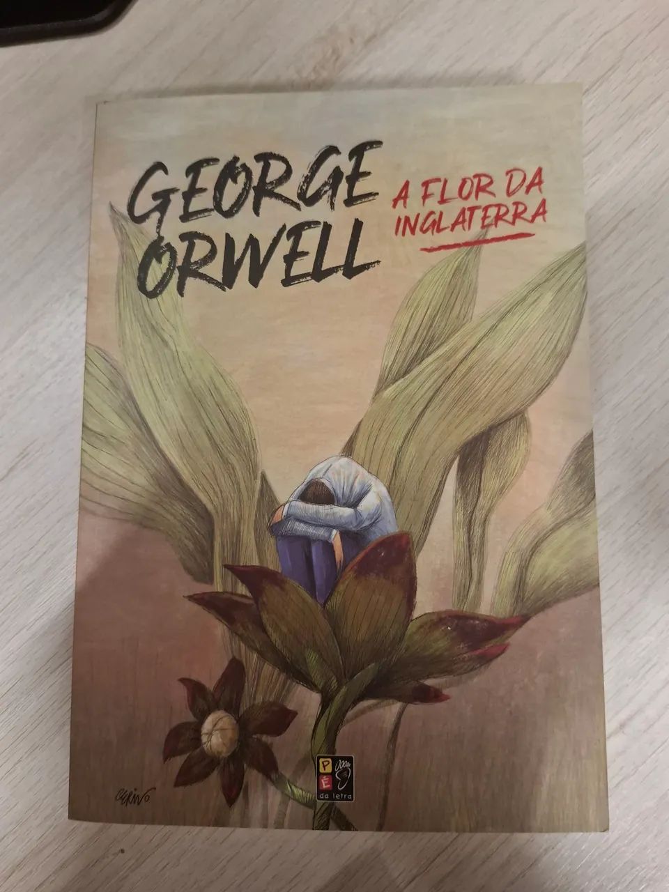 Livro a flor da Inglaterra 