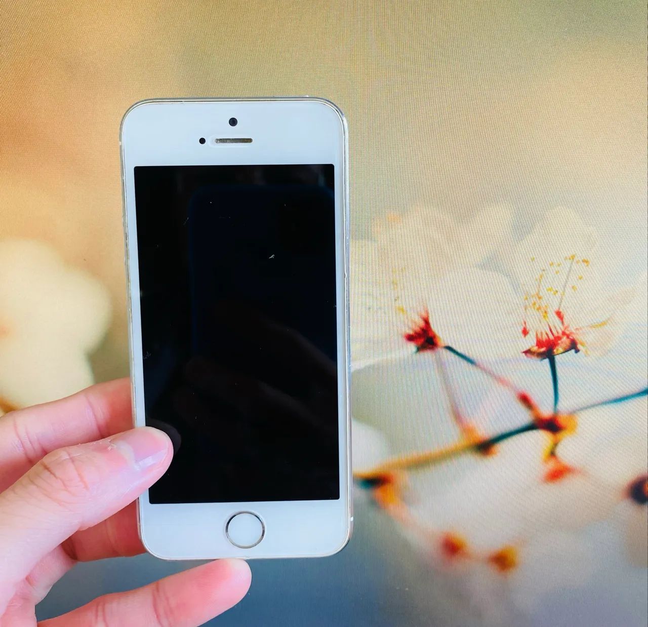 Iphone 5s - Foto 2