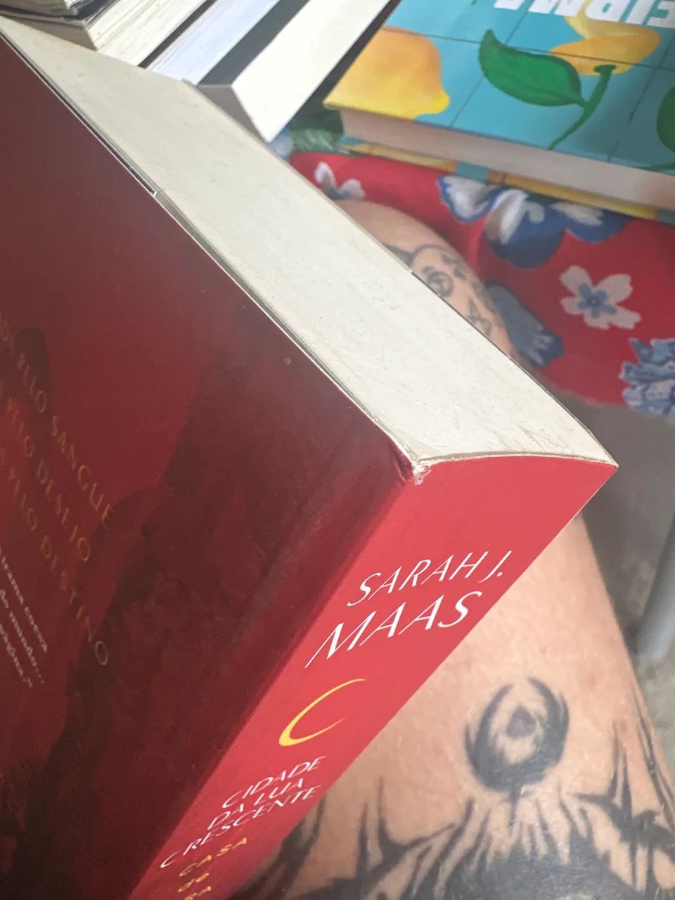 Livro Cidade da Lua Crescente  - Foto 2