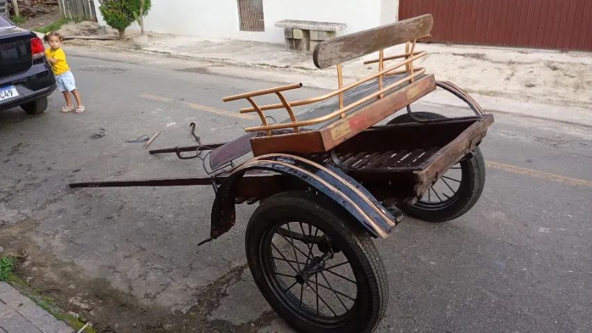 Charrete Muriaé  - Foto 5